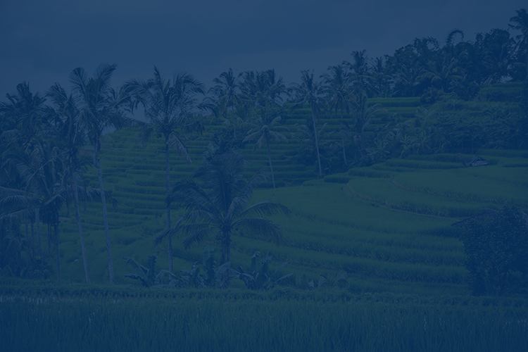 インドネシアリサーチ