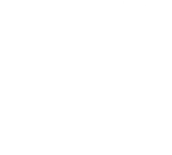取引社数 1万社以上