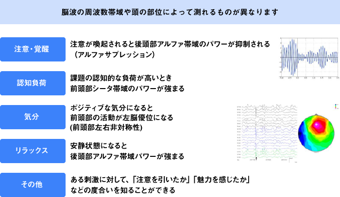 脳波で測れる内容