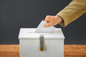 ネットリサーチモニタの投票行動は世の中の縮図となり得るか ～衆議院選2017を振り返って～