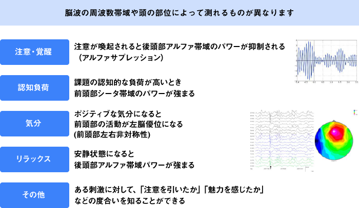 脳波で測れる内容