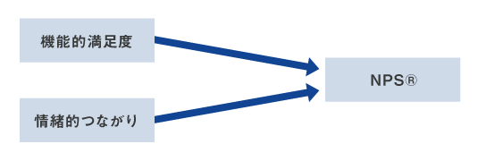 図４：NPS®の構造仮説