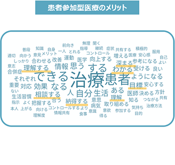 図3：2型糖尿病治療における「患者参加型医療」の有用性とメリット